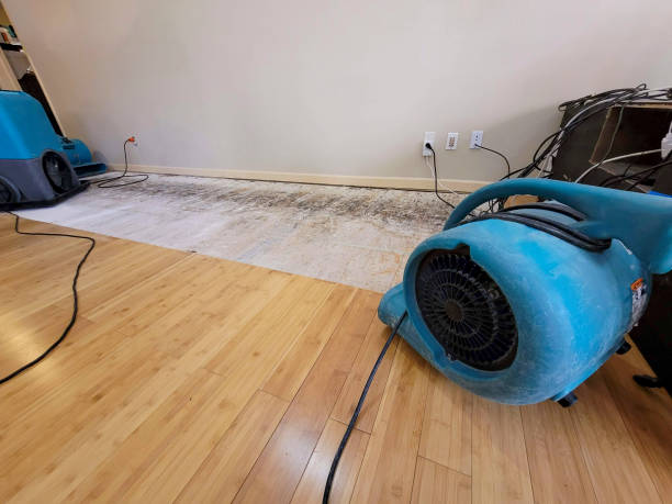 Professional Water Damage Repair technician working in Granville, MA